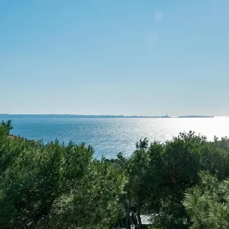Caper Santa Caterina (Apulia)