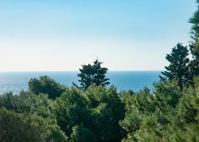 Caper Santa Caterina (Apulia)