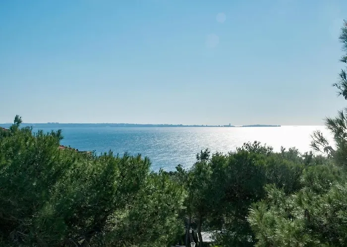 Caper Santa Caterina (Apulia)